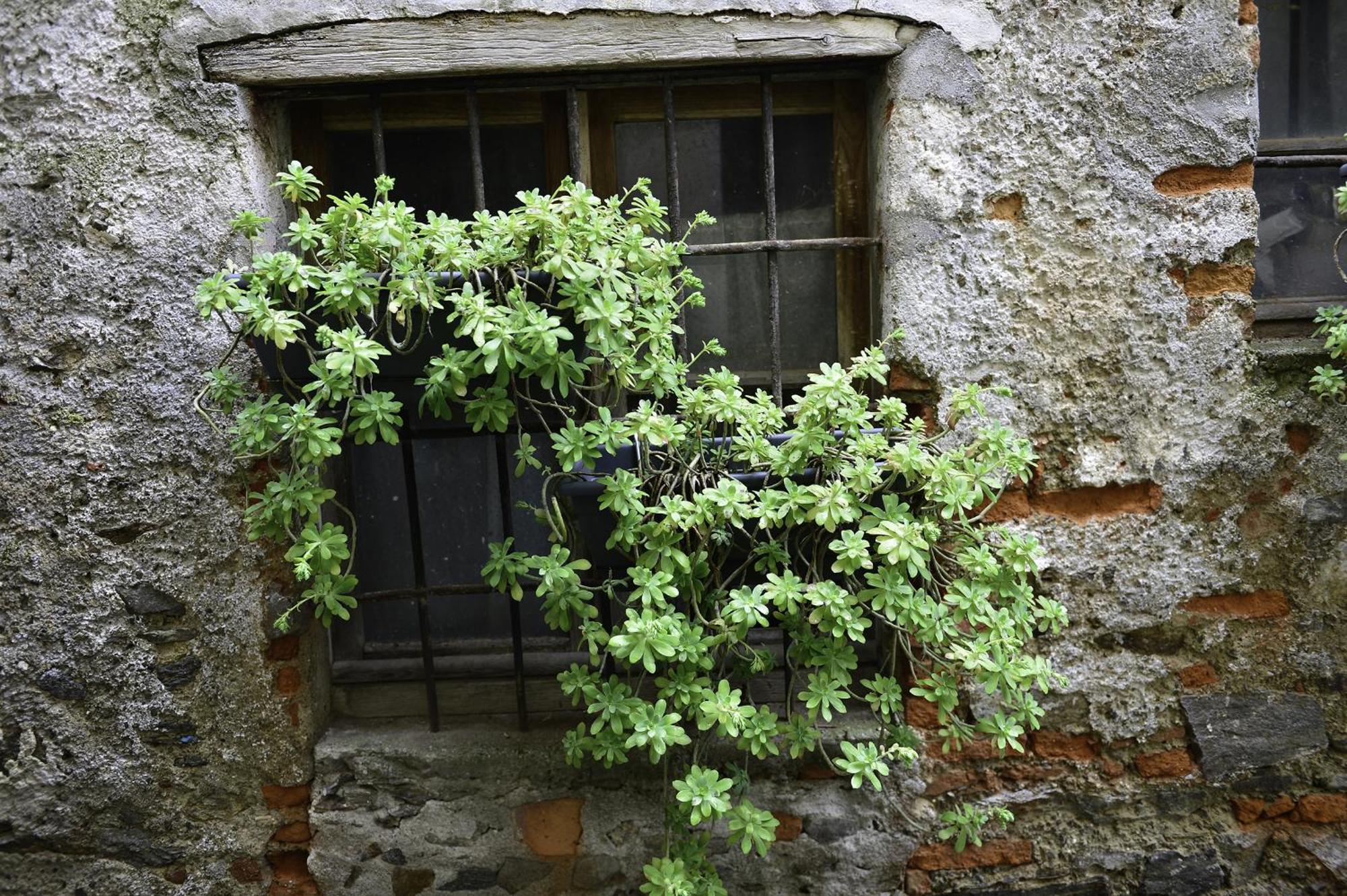 A Casa Di Sole Brovello Apartamento Exterior foto